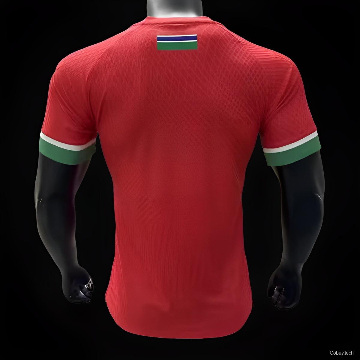 Player Version 2023 Gambia Home Jersey